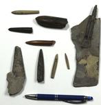 Fijnste collectie van verschillende belemnieten - Gelabeld -, Verzamelen, Mineralen en Fossielen