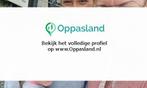 Kristel zoekt een oppas in Kerkrade voor 2 kinderen voor..., Vacatures, Vacatures | Horeca en Catering