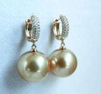 Oorbellen 18 kt. geel goud - Golden South Sea Parel -, Nieuw