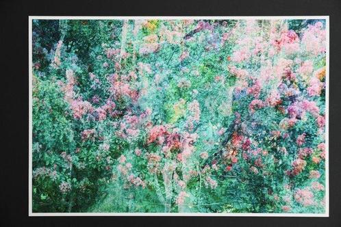 Viet Ha Tran - Gentle spring, Antiek en Kunst, Kunst | Designobjecten