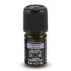 Beauty & Care Lavandin olie 5 ml.  new, Ophalen of Verzenden, Nieuw