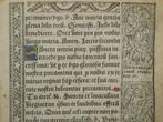 Vostre - Leaf from a book of hours, printed on vellum - 1502, Antiek en Kunst, Antiek | Boeken en Bijbels