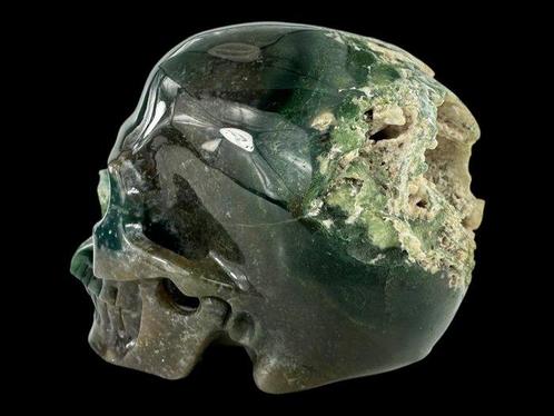 Schedel Groene Mos Agaat “Museum Kwaliteit” Gesneden schedel, Verzamelen, Dierenverzamelingen