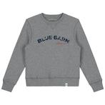 Sweater - maten: 116/122, 128/134, 140/146 - Blue Barn Jeans, Verzenden, Nieuw, Blue Barn Jeans, Jongen of Meisje