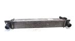 Intercooler radiateur Peugeot Bipper  1.4 HDi, Auto-onderdelen, Motor en Toebehoren, Ophalen of Verzenden, Gebruikt, Peugeot