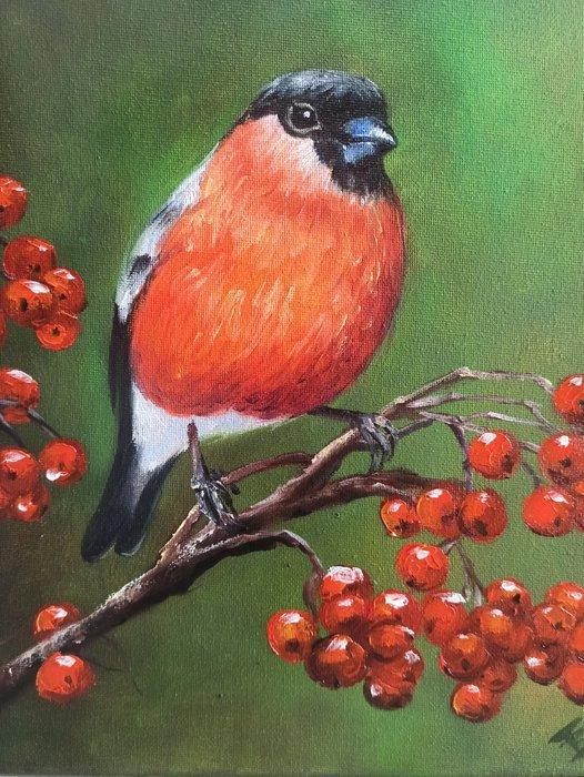 Tomasz Bednarski (1965) - Builfinch, Antiek en Kunst, Kunst | Schilderijen | Klassiek