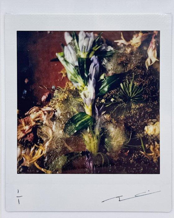 Benjamin Martin - Unique Print – “Lost & Found” Series, Antiek en Kunst, Kunst | Designobjecten