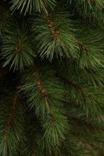 2dekans | Black Box Kunstkerstboom - Smal - Groen - 215 cm -, Diversen, Kerst, Ophalen of Verzenden, Zo goed als nieuw