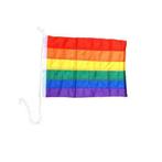 Gay pride regenboog vlag klein