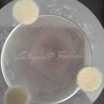 Lalique France - Vaas - Bougainvillier 12495 - Kristal -