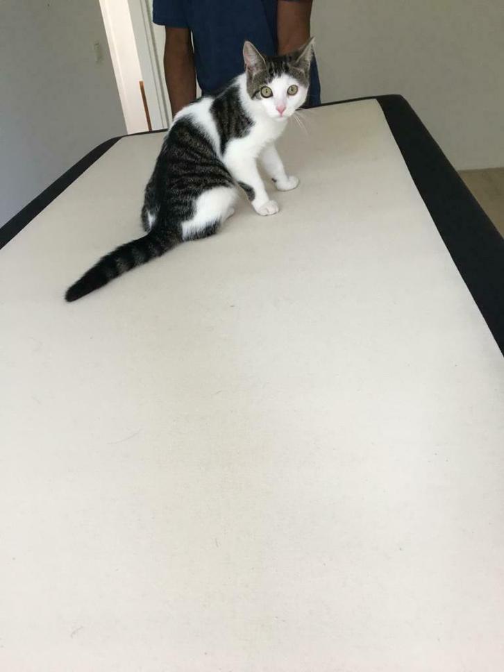 Verhuizen? Snel, goedkoop én zonder stress – Movenetjes!, Diensten en Vakmensen, Verhuizers en Opslag, Bedrijfsverhuizingen, Opslag