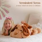Big Baloo Verzwaringsknuffel Hond 70cm Knuffels - Verzwaarde, Ophalen of Verzenden, Zo goed als nieuw