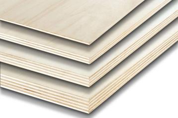 Populieren multiplex 122x250cm beschikbaar voor biedingen