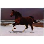 3-d poster galopperend bruin paard NIEUW, Verzamelen, Posters, Ophalen of Verzenden, Nieuw