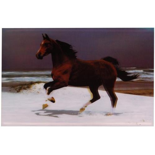 3-d poster galopperend bruin paard NIEUW, Verzamelen, Posters, Nieuw, Ophalen of Verzenden