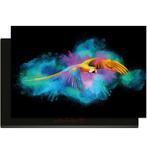 Color Flight – Inductie Beschermer, Verzenden, Nieuw
