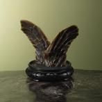 Flippers Zeeschildpad Taxidermie Opgezette Dieren By Max, Verzamelen, Ophalen of Verzenden, Nieuw, Reptiel of Amfibie, Opgezet dier