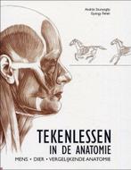 Tekenlessen In De Anatomie 9783833121425 Gyorgy Feher, Boeken, Verzenden, Zo goed als nieuw, Gyorgy Feher