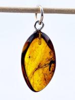 Mug & Mieren Fossielhanger – Gouden Baltisch Amber Sieraden, Antiek en Kunst