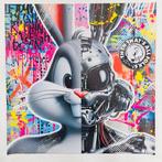 AIIROH - Skynet - Bugs