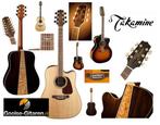 Takamine akoestische gitaar kopen - Western gitaren Takamine, Muziek en Instrumenten, Nieuw, Ophalen of Verzenden, Western- of Steelstringgitaar