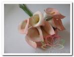 Calla creme-roze 3. 5*5cm. Per doosje Calla creme-roz, Ophalen of Verzenden, Nieuw