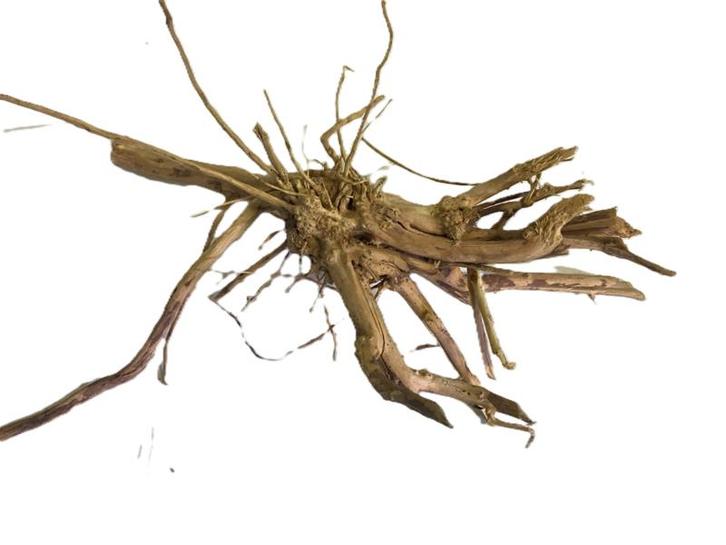 Driftwood Selected DW27 - 45x23x15cm (Small drift wood), Dieren en Toebehoren, Vissen | Aquaria en Toebehoren, Plant(en), Steen of Hout