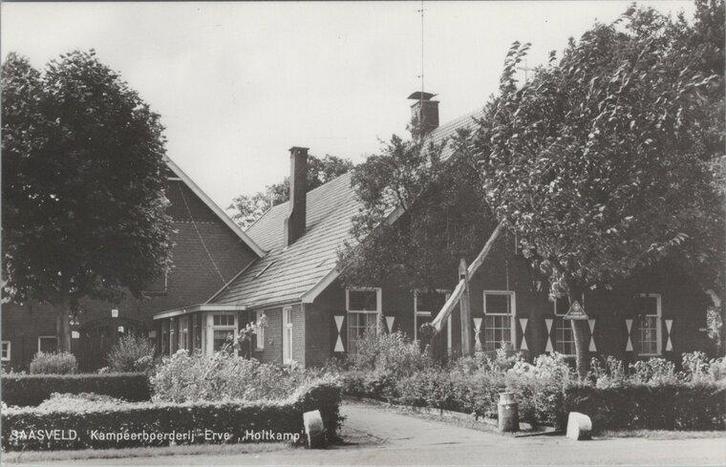 SAASVELD - Kampeerboerderij Erve Holtkamp, Verzamelen, Ansichtkaarten | Nederland, Verzenden
