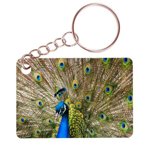 Sleutelhanger 6x4cm - Pauw met Uitstaande Veren NIEUW, Verzamelen, Sleutelhangers, Nieuw, Ophalen of Verzenden