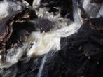 schapenwol wol spinnen  vilten  vachten spinnewiel breien