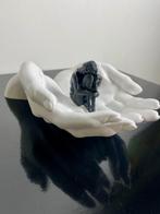 serena grassetti - Safeguard #2