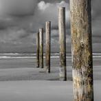 Wiepke Folkerts - Ending