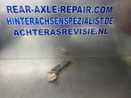 Stootrubber Opel 90237463, nieuw. (Exterieur), Verzenden, Nieuw, Opel