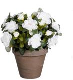 2dekans | Mica Decorations Kunstplant - Azalea - Wit - in, Huis en Inrichting, Ophalen of Verzenden, Zo goed als nieuw