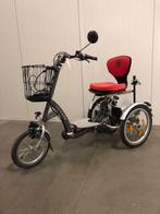 Driewiel scootmobielfiets | Van Raam Easy Go, Ophalen of Verzenden, Gebruikt, Overige merken, 11 t/m 15 km/u