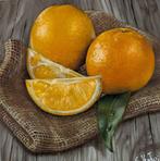 Luca Venturi (XX-XXI) - Arance