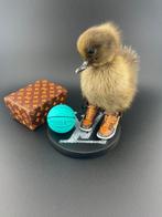 Eend Taxidermie volledige montage - Anas Platyrhynchos - 140