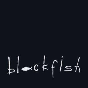 cd - Blackfish - Blackfish, Cd's en Dvd's, Cd's | Overige Cd's, Zo goed als nieuw, Verzenden