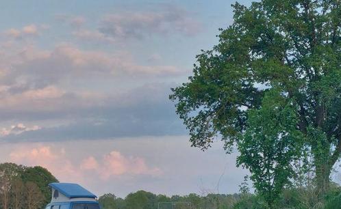 4 pers. Volkswagen camper huren in Etten-Leur? Vanaf € 81 p., Caravans en Kamperen, Verhuur