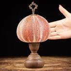 Decoratieve zeekomkommer - Italiaanse ambachtelijke houten