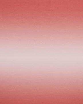 French Terry Digitaal Salmon, Hobby en Vrije tijd, Stoffen en Lappen, Overige kleuren, Nieuw