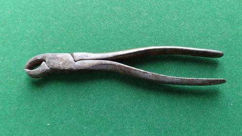Medisch instrument - Smeedijzer - Antieke tandarts tang, Antiek en Kunst, Antiek | Overige Antiek