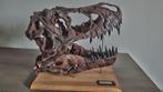 Dinosaurus Taxidermie replica montage - Replica schedel -