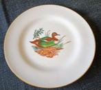 Richard Ginori - Tafelservies voor 12 (11) - Porselein -