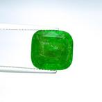Tsavoriet - 12.00 ct - International Gemological Institute, Nieuw