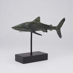 sculptuur, NO RESERVE PRICE - Bronze Patinated Great White