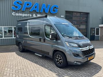 Buscampers scherp geprijsd Pössl, Adria, Carado, Laika... beschikbaar voor biedingen