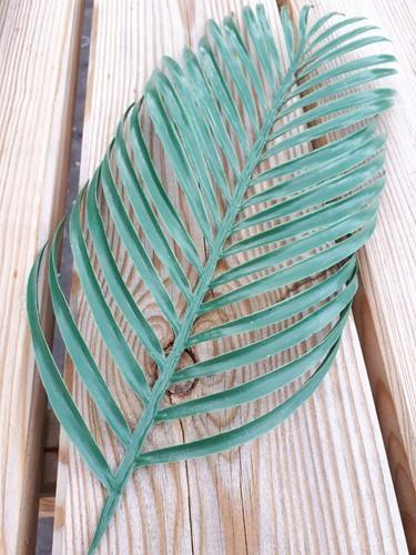 Varen kunstblad groen plastic botanical style 55×19 cm per, Hobby en Vrije tijd, Knutselen, Nieuw, Ophalen of Verzenden