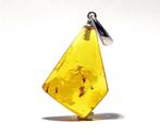 Ongelooflijke MULTI-INVLOED Baltic Amber – Kevers, Vliegen,, Nieuw