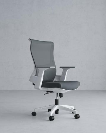 Ergonomische Bureaustoel Verstelbaar - Wit/Grijs beschikbaar voor biedingen
